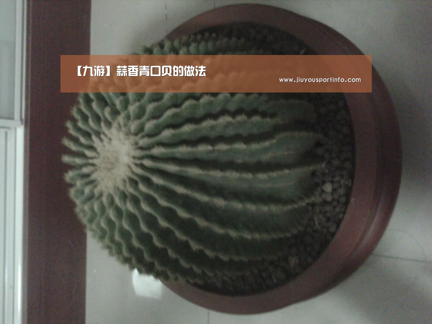 【九游】蒜香青口贝的做法(图3)