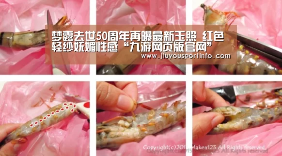 九游网页版官网